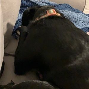 Meet your Posher, Benjamin